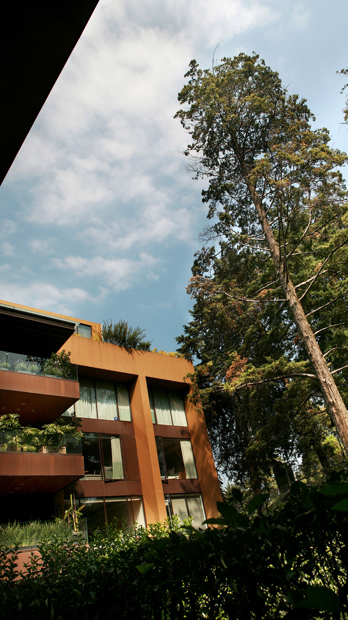 13-reserva-vista-hermosa-galeria-Jardín